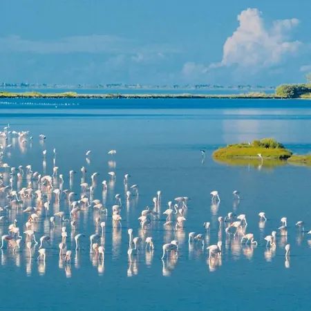 Moro בית נופש *