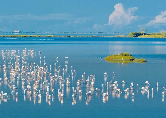 Moro Сasa de vacaciones *